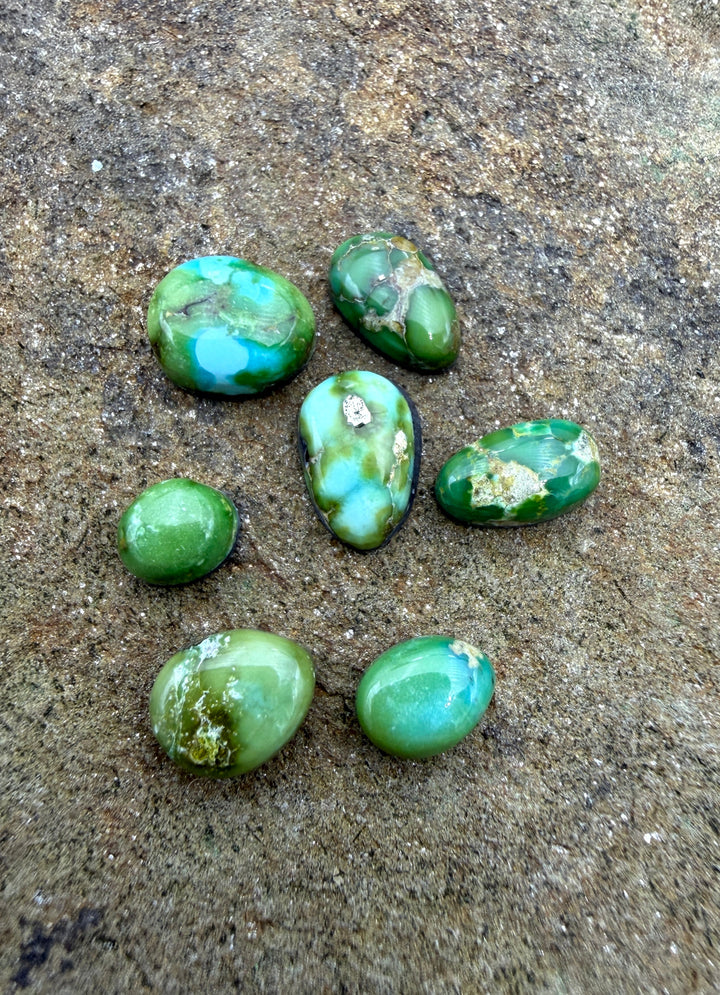RARE Sonoran Gold Turquoise (Mex) LOT of 7 Mini Cabochons