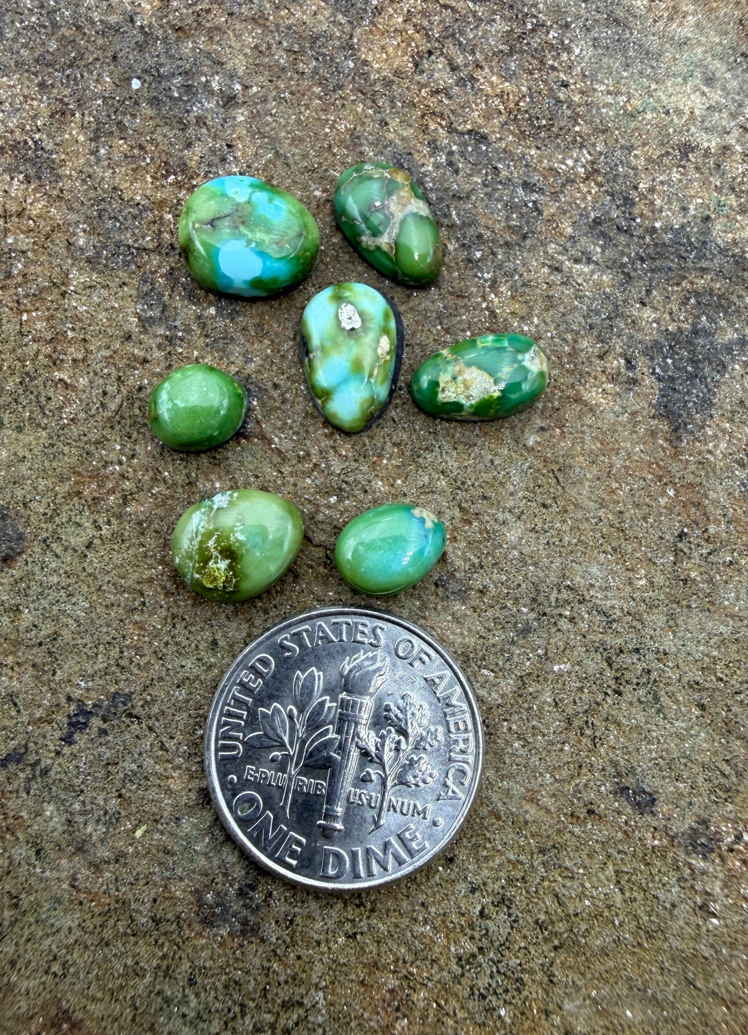 RARE Sonoran Gold Turquoise (Mex) LOT of 7 Mini Cabochons