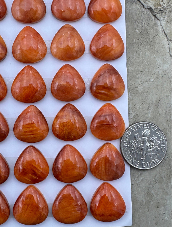 Red/Rust Spiny Oyster 13x14mm Teardrop Shaped Cabochons