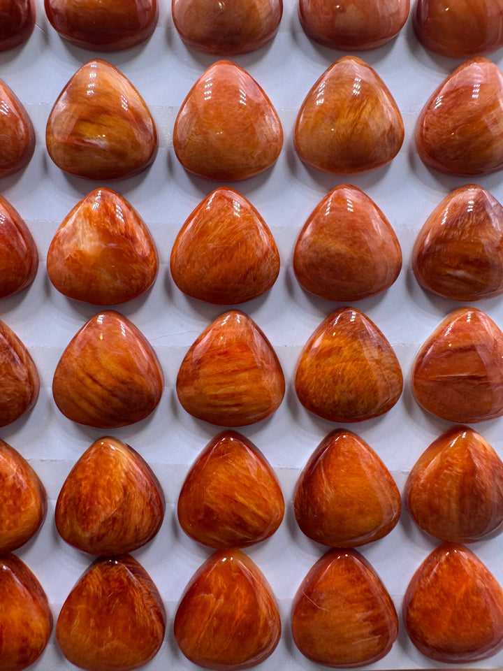 Red/Rust Spiny Oyster 13x14mm Teardrop Shaped Cabochons