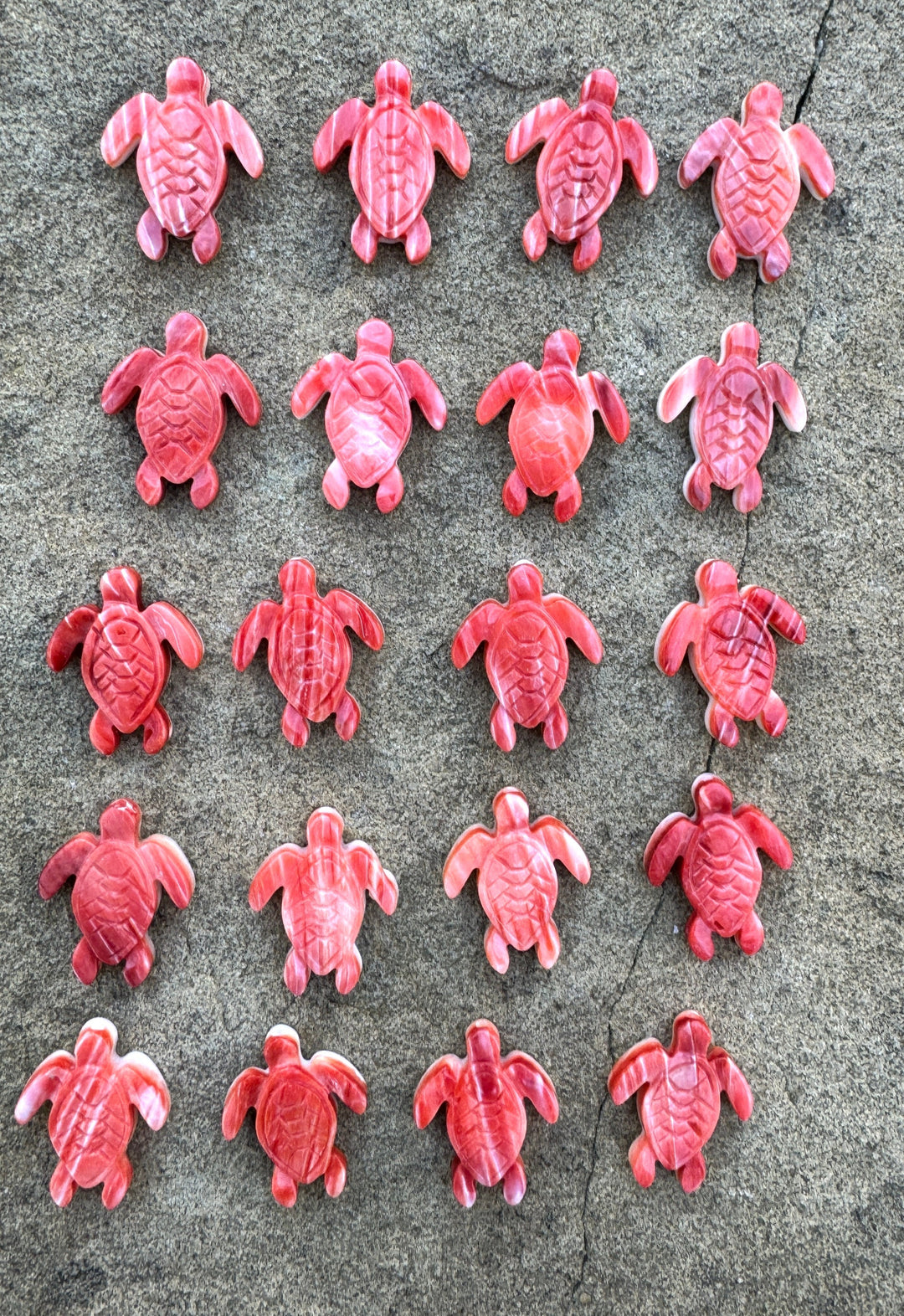 Red/Rust Spiny Oyster Shell Carved Turtle Beads Package