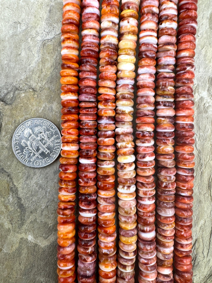 Red/Rust Spiny Oyster Wheel Beads 6mm (16 inch strand)