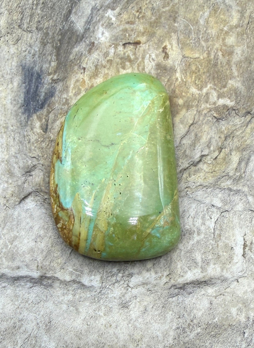 Royston Turquoise (NV) Freeform Cabochon 19x30mm