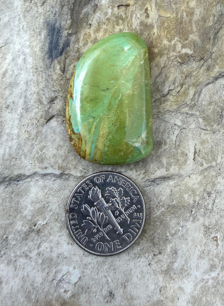 Royston Turquoise (NV) Freeform Cabochon 19x30mm