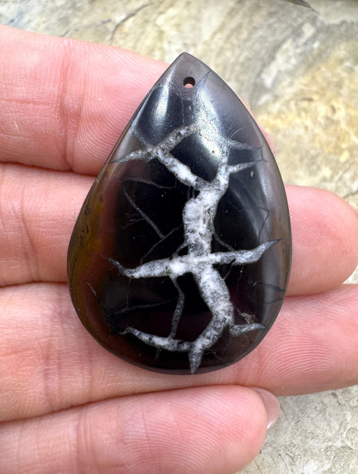 Simbercite Fossil (Russia) Focal Bead Pendant 25x37mm