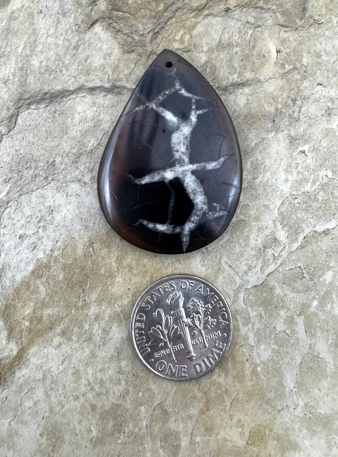 Simbercite Fossil (Russia) Focal Bead Pendant 25x37mm