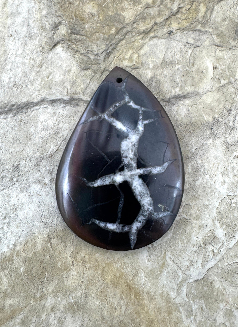 Simbercite Fossil (Russia) Focal Bead Pendant 25x37mm