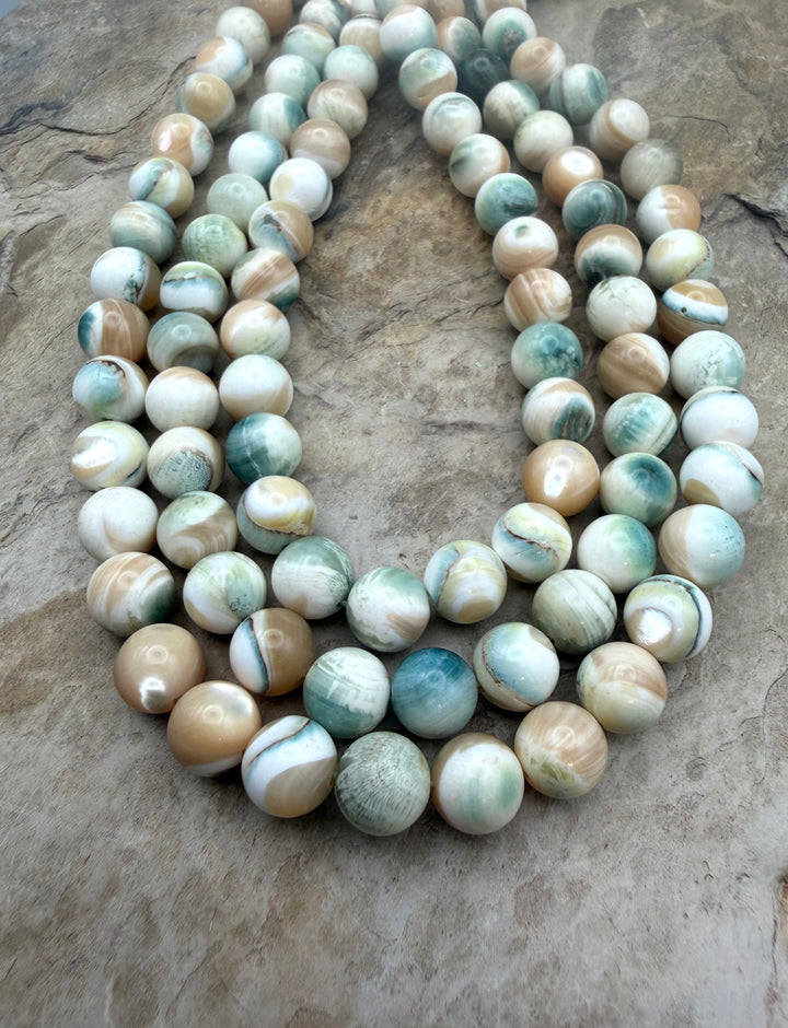 Turbo Marmoratus Shell 10mm Beads ONE 16 Inch Strand