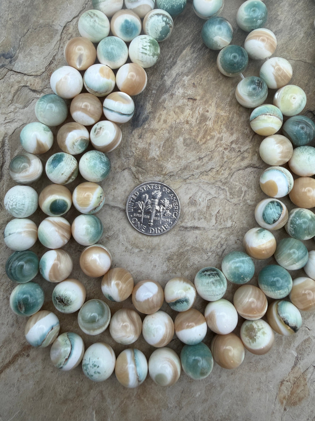 Turbo Marmoratus Shell 8mm Beads ONE 16 Inch Strand