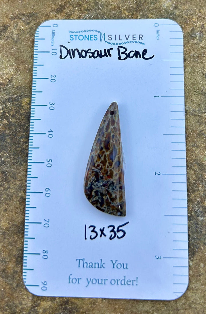 Utah Dinosaur Bone Focal Pendant Bead 13x35mm - Dinosaur