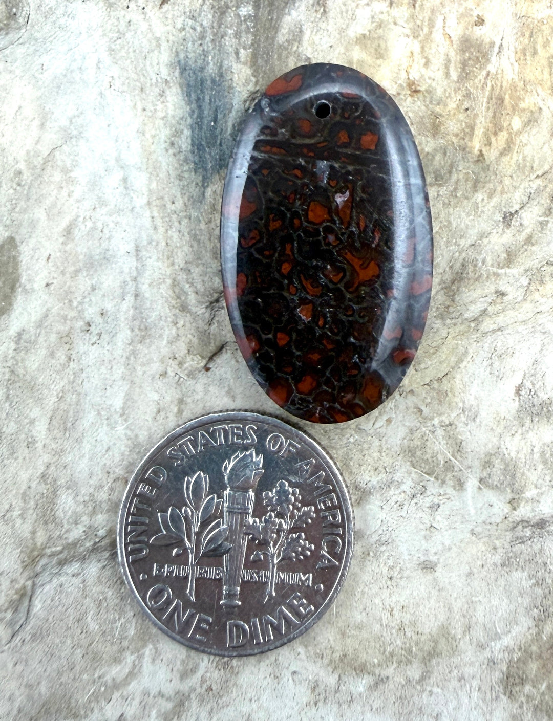 Utah Dinosaur Bone Focal Pendant Bead 16x26mm - Dinosaur