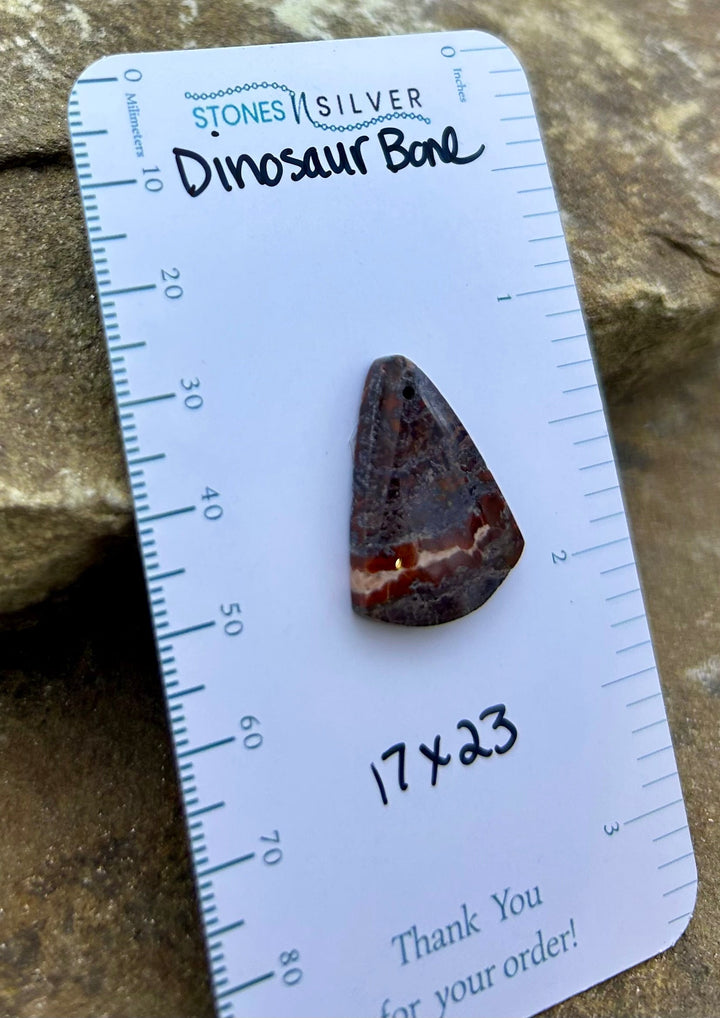 Utah Dinosaur Bone Focal Pendant Bead 17x23mm - Dinosaur