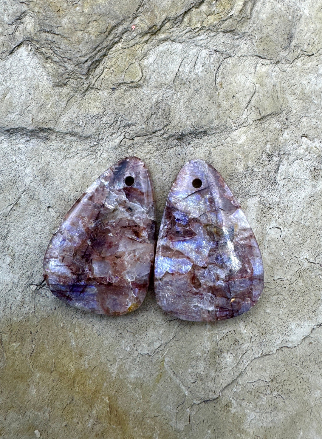 VERY RARE Chatoyant Utah Dinosaur Bone Earring Slab Bead