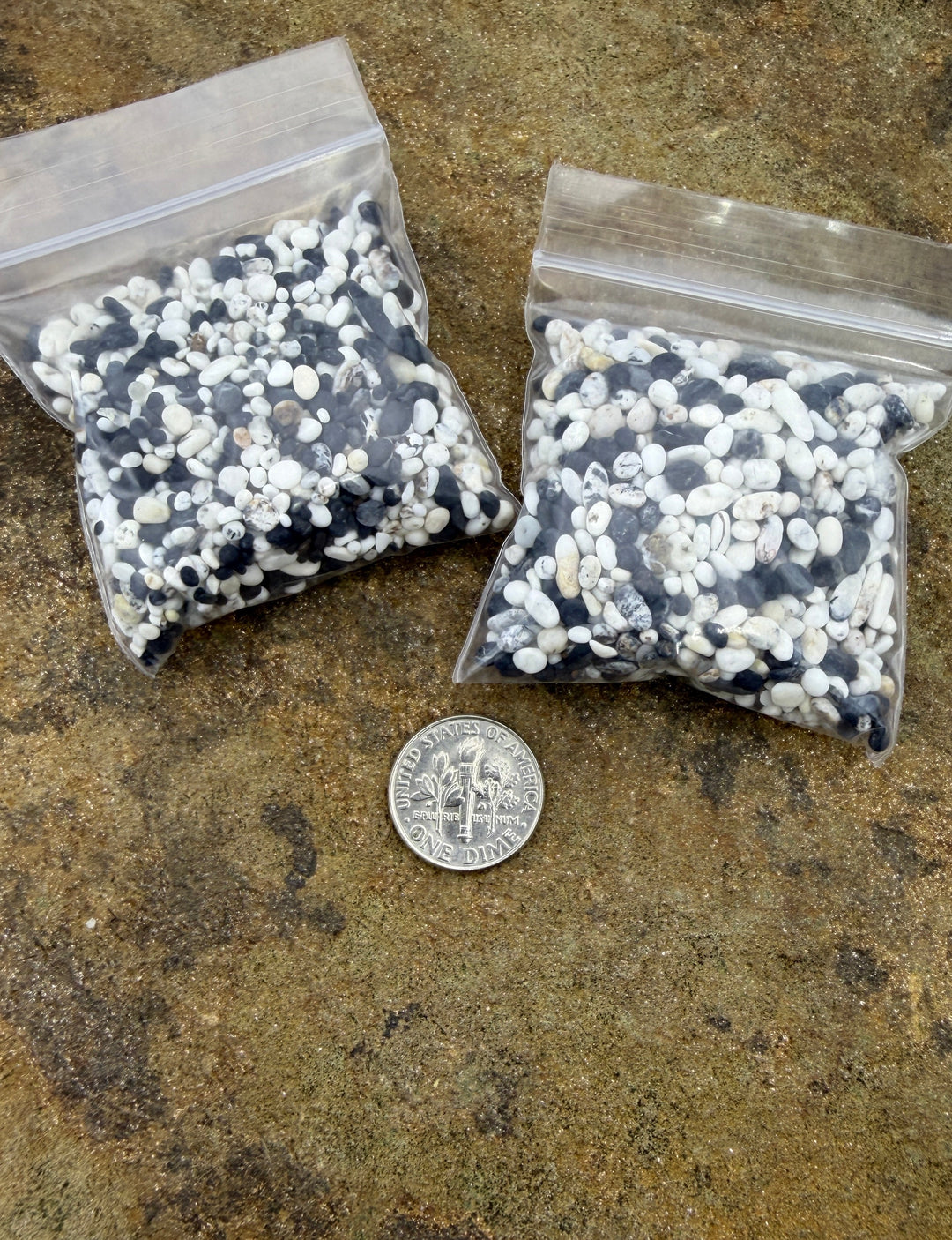 White Buffalo (Nevada) Tumbled Unpolished Undrilled Small