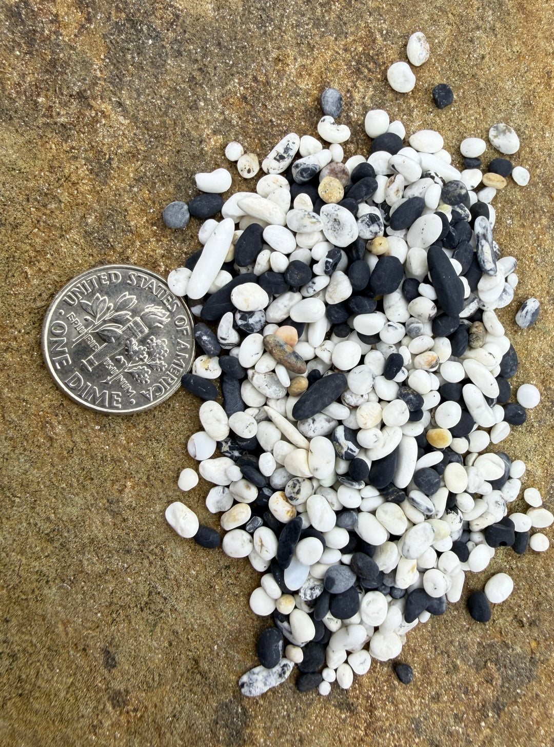 White Buffalo (Nevada) Tumbled Unpolished Undrilled Small