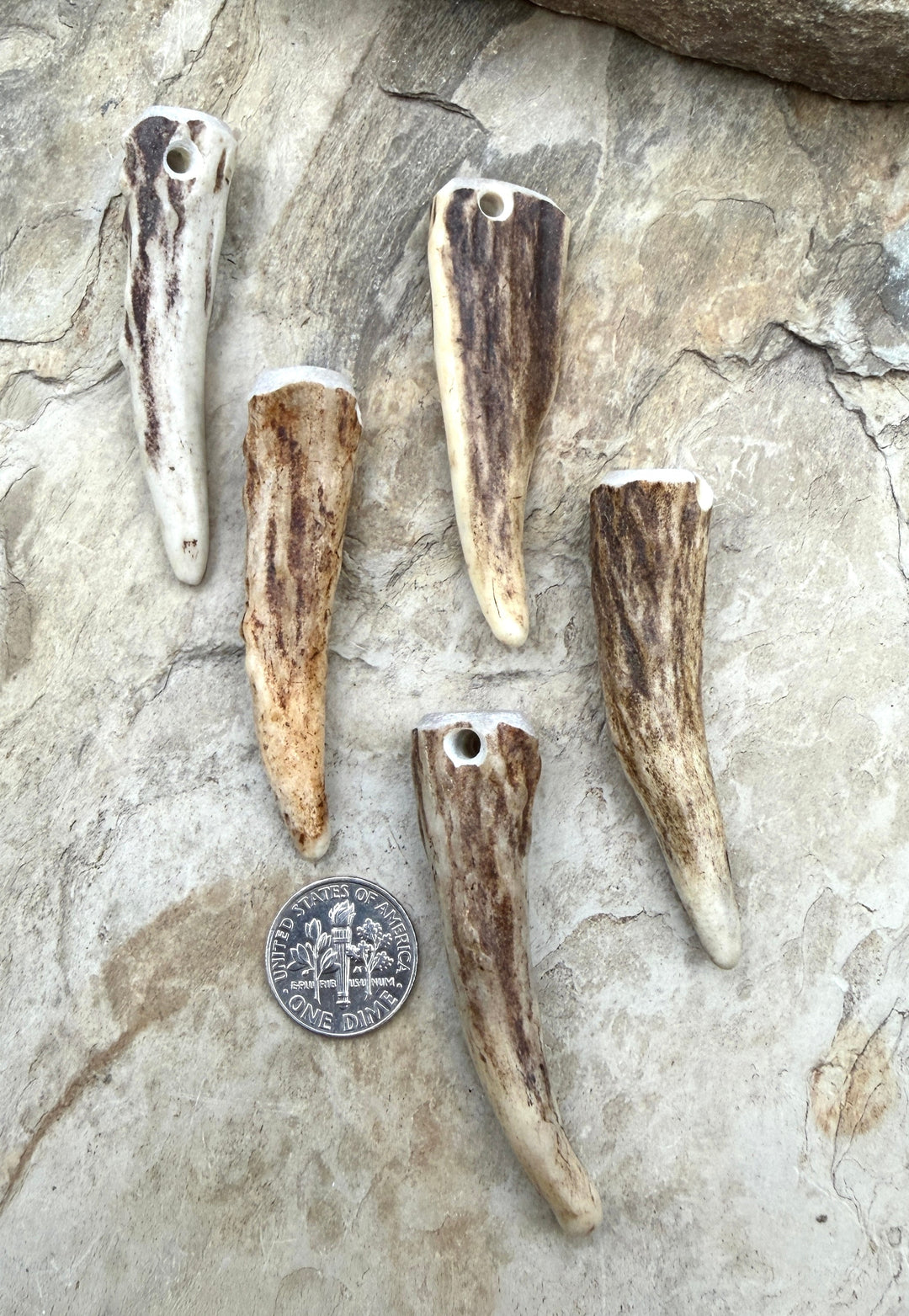 Whitetail Deer Antler Tip Beads 12x50-16x60mm Sold Per