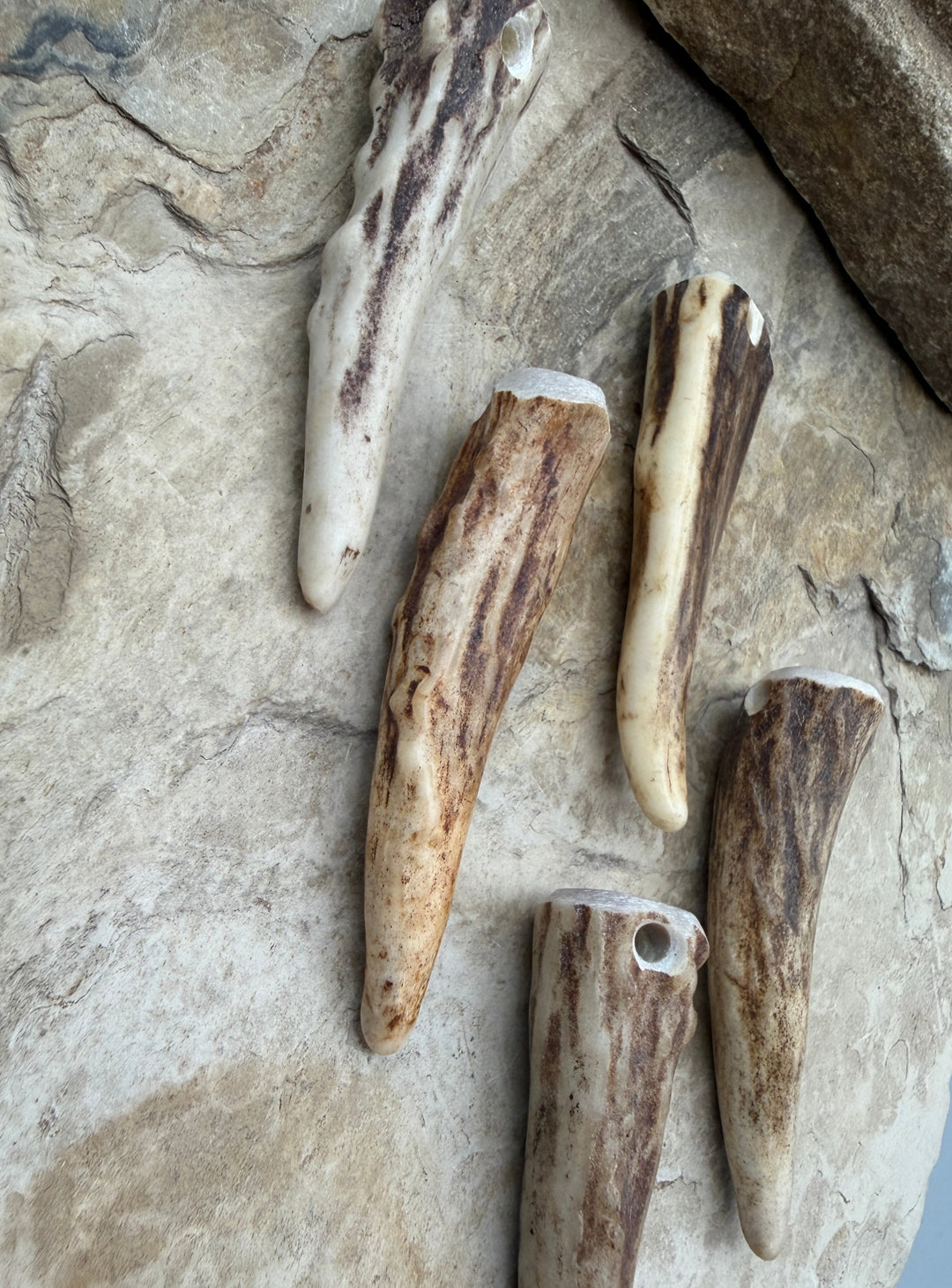 Whitetail Deer Antler Tip Beads 12x50-16x60mm Sold Per